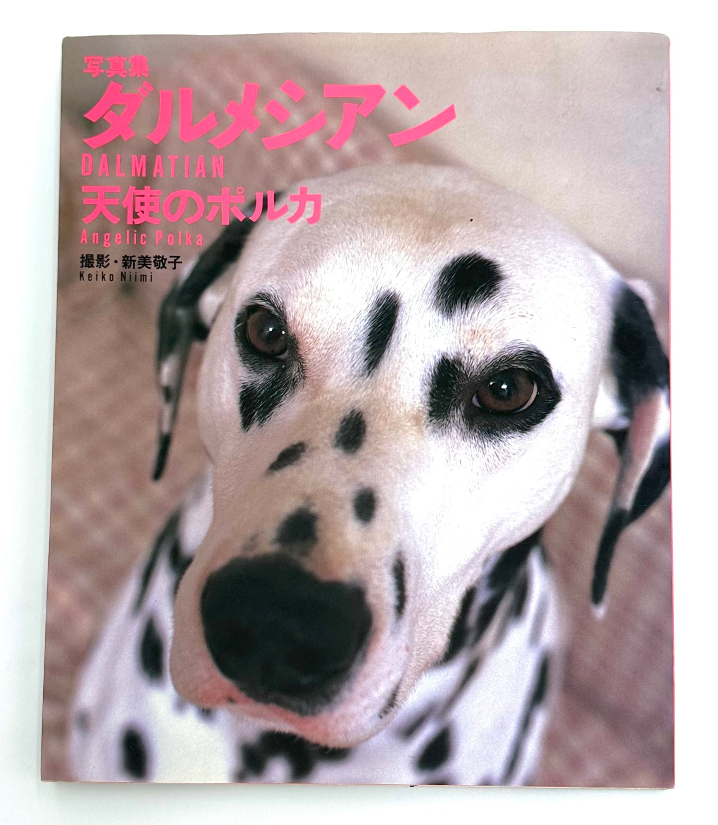 写真集 DALMATIAN Angelic Polka